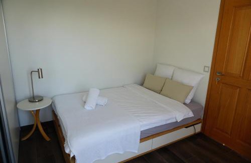 Grandvaux Apartment | Lakeview Apartment-Lavaux
