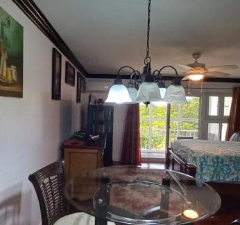 Downtown Apartment | Lakeview Manor