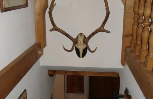Golling an der Salzach Apartment | Landhaus Kurz