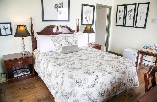 Queens Hotel | Lanes Privateer Inn
