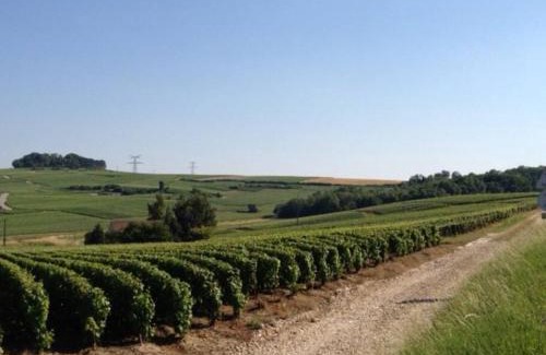 Baslieux-sous-Chatillon House | Large Country House in the heart of Champagne