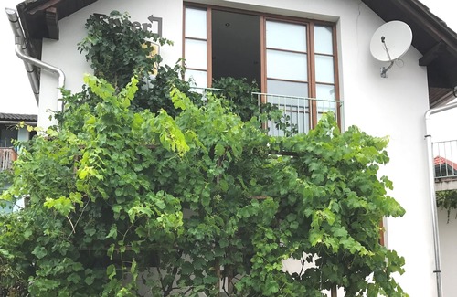 Bled House | Large House In The Center Of Bled Close To The Castle, Lake, Bars Restaurants