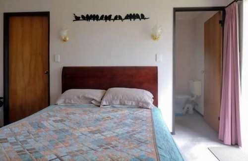 Tauranga House | Large, Relaxed Matua Home