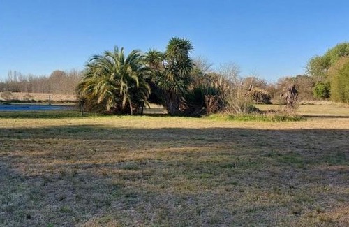 Lobos House | Las acacias