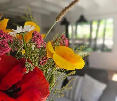 San Martin de los Andes Ski Chalet | Las Amapolas Cabaña