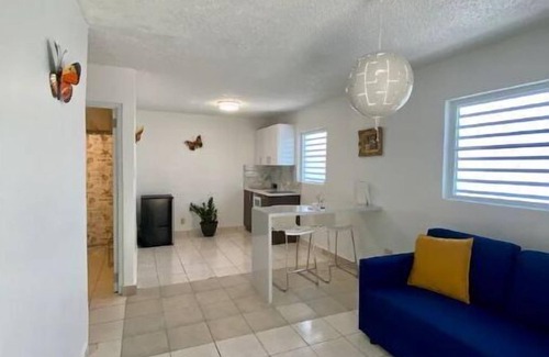 Sabana Abajo Apartment | Las Mariposas Suite Apt. 1