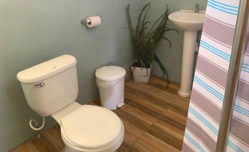 Cinquera Bed & Breakfast | Las Terrazas de el Alto
