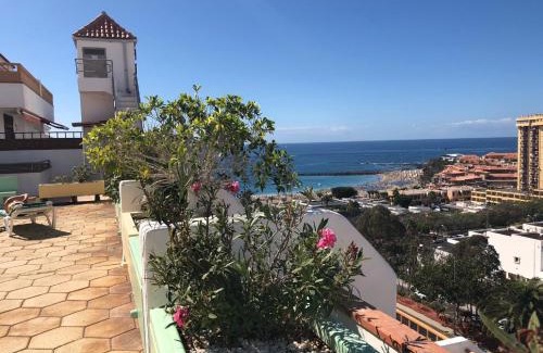 Arona Apartment | Las Vistas view