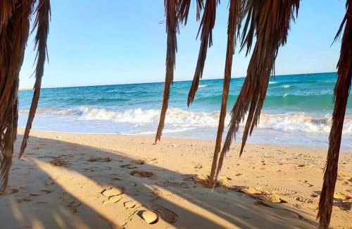 Ras Sudar Apartment | LASIRENA PALM BEACH RESORT -FAMILY