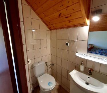 Ustrzyki Dolne House | Leśny Dwór Bieszczady