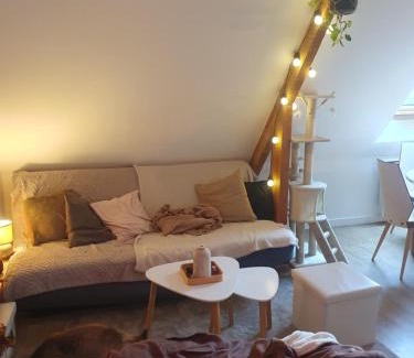 Larmor-Plage Apartment | Le 105 - appart-sympa - T2 vue jardin et cave - Larmor-Plage