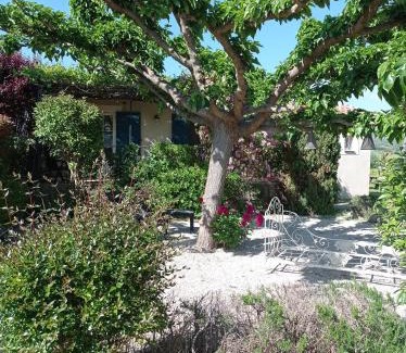 Blauvac House | Le Cabanon d'Amandine et Gabriel