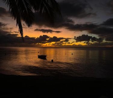 Grand Baie-Montagne Goyaves Bed & Breakfast | Le Cactus Guest House
