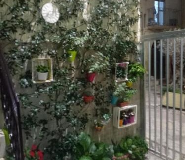 Altamura Apartment | Le camelie