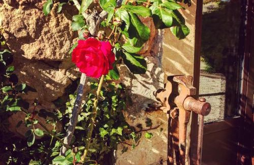 Oppede House | Le Clos D'Olea