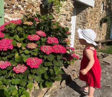 Rebais House | Le Clos des Hortensias