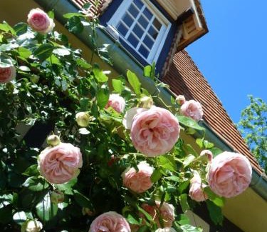 Glos-sur-Risle Bed & Breakfast | le clos Sainte Helene