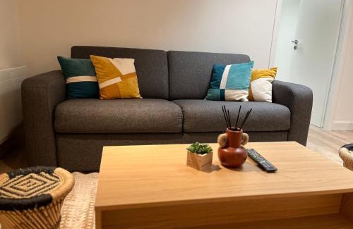 Centre Ville Apartment | Le Cocon Niortais