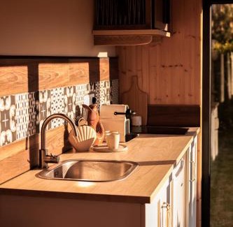 Luc-sur-Mer House | Le coquillage, la clef des paons