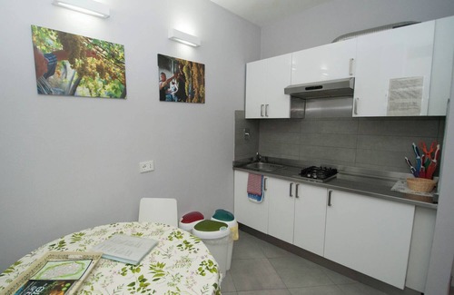 Manarola Apartment | Le Coste mono 1 , apartment in the center of Manarola
