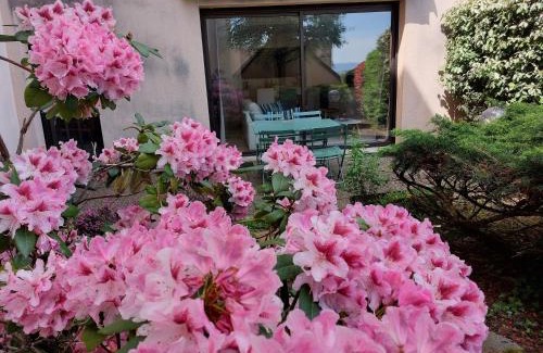 Rodez Apartment | Le DenysPuech 55m2 plein centre avec jardin!