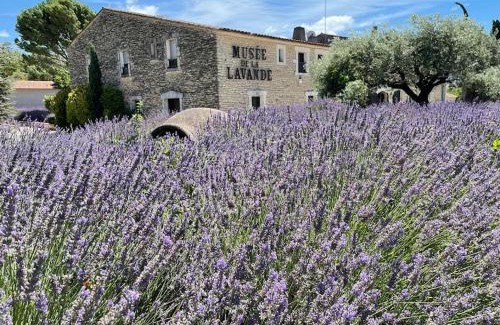 Cabrieres-d'Avignon House | Le Dourmidou - Gite avec piscine, au pied du Luberon