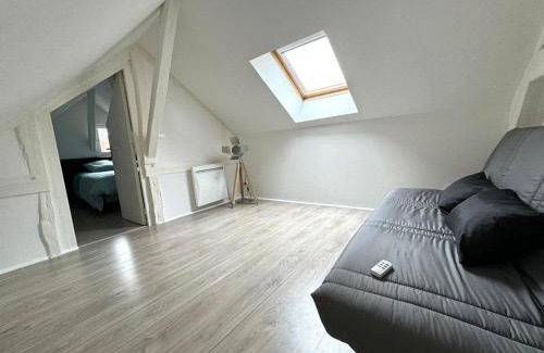 Villeneuve-sur-Yonne Apartment | Le Duplex de Villeneuve