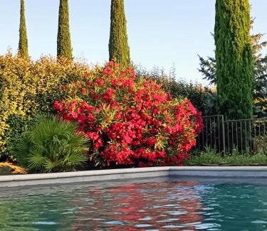 Cavaillon Bed & Breakfast | Le faré tchanqué chambre d'hôtes, parking gratuit sur place