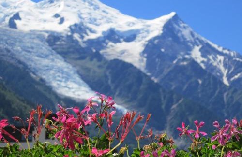 Chamonix City Centre Apartment | Le Génépy - Appart'hôtel de Charme