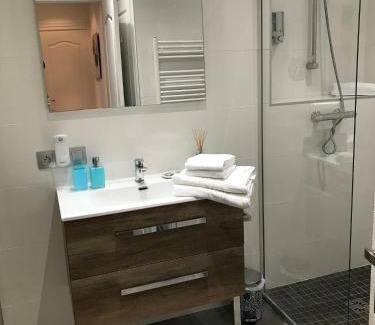 Annecy Old Town Apartment | LE GRUFFAZ - Hyper centre, Balcon sur canal