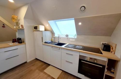 Saverne Apartment | Le Jardin des Roses - parking gratuit dans la rue - gare à 500 m