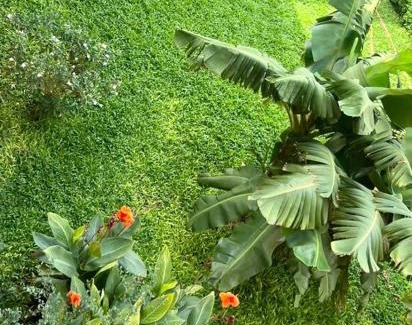 Niamey Apartment | Le Lézard Vert, Maison d'Affair à Niamey