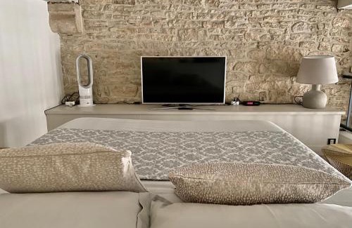 Old Town Apartment | Le Lion des Ducs : centre historique de Dijon