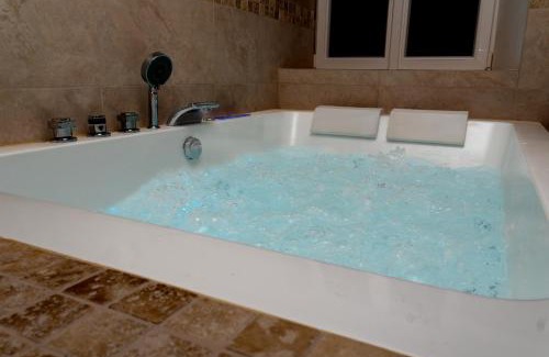 Oberhaslach Apartment | Le Manguier, Apartment & Spa
