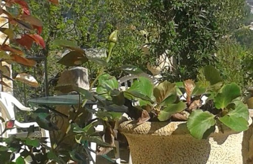 Vallon-Pont-d'Arc Cottage | Le Menuet, charming gîte, close to the river, private parking.