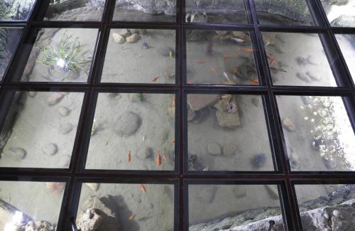 Plazac Bed & Breakfast | Le Moulin De Mayence