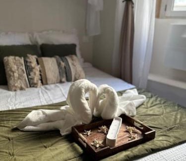 Macon Apartment | LE NOUMÉA, T2, Hyper-centre, Square de la Paix