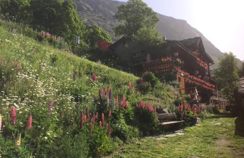 Bonneval-sur-Arc Apartment | Le p'tit coin montagne