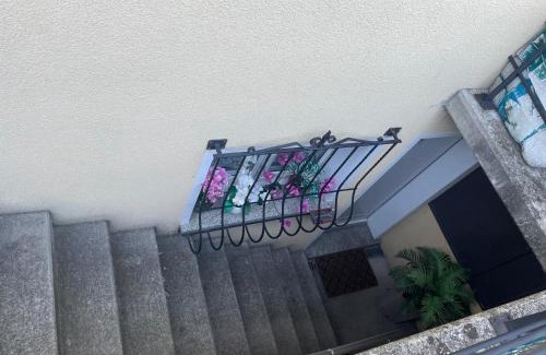 Monteceneri House | Le palme