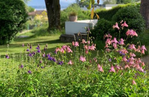 Nyon Apartment | 'Le Petit Clos Suites'- Charming Getaway on Leman Lake