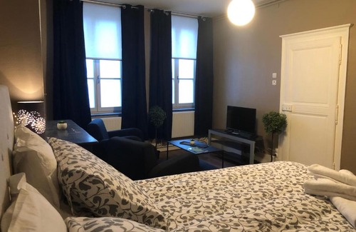 Metz-Centre – Ancienne Ville Apartment | Le Petit Graoully