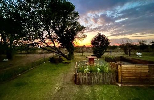 Bloemfontein House | Le Petit Guesthouse