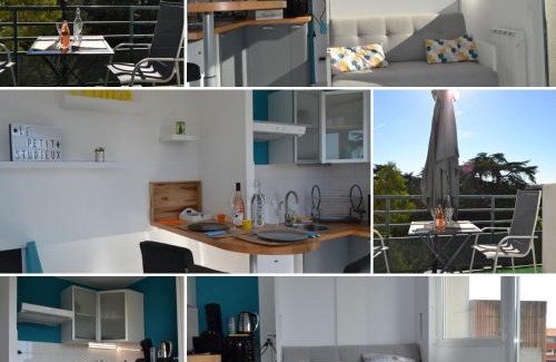 Albi Apartment | Le petit studieux - Parking - Animaux acceptés - Centre ville accessible à pied