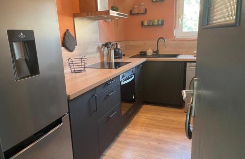 Quartier Saint-Leon Apartment | - Le refuge Colmarien - 5 personnes