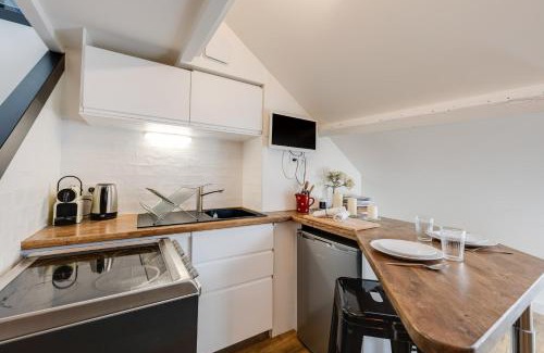 Annecy Old Town Apartment | Le Saphir - Nice Studio in the city center with air conditioning