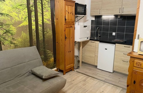 Chamonix City Centre Apartment | Le Savoisien by Interhome
