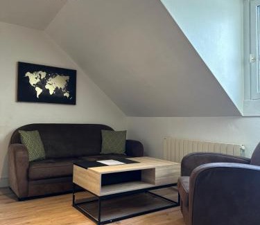 Romorantin-Lanthenay Apartment | Le studio du square: beauval