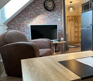 Romorantin-Lanthenay Apartment | Le studio du square: beauval