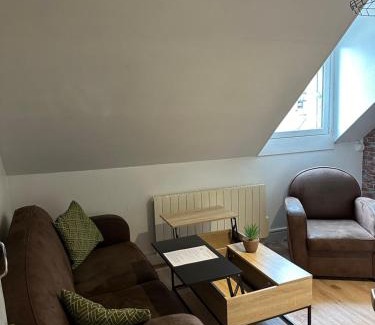 Romorantin-Lanthenay Apartment | Le studio du square: beauval