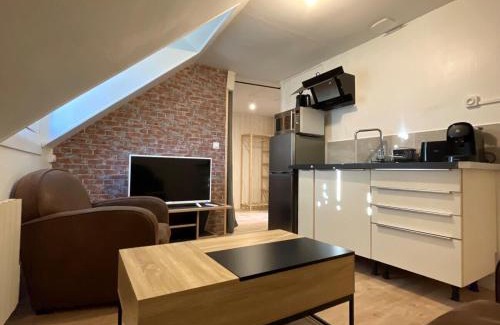 Romorantin-Lanthenay Apartment | Le studio du square: beauval